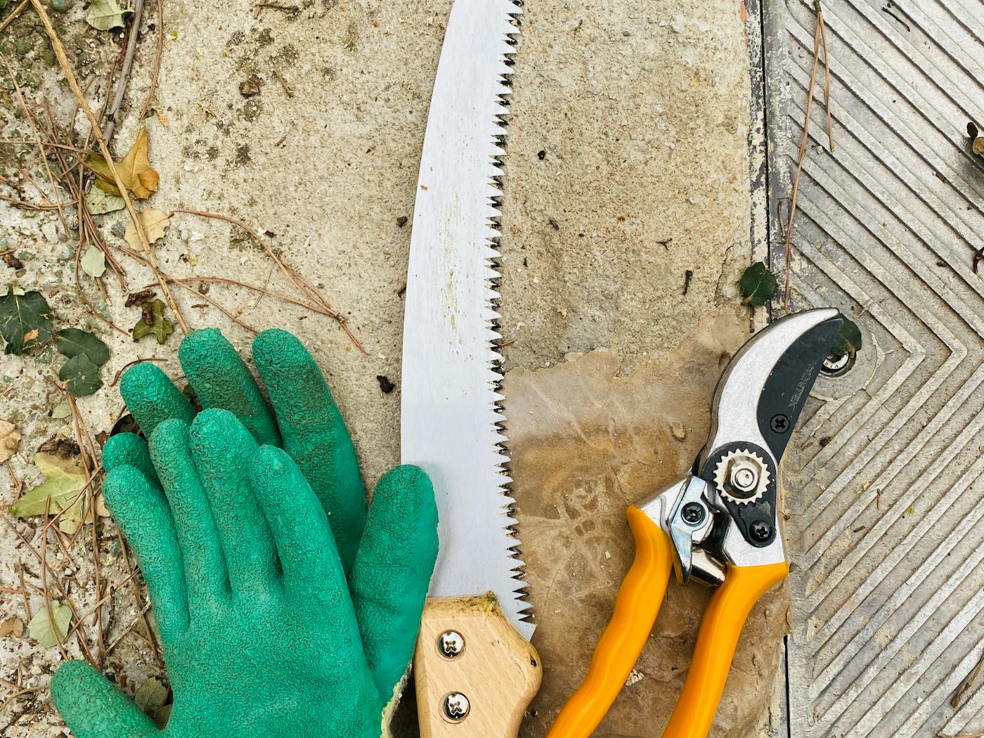 Trade gloves and hand tools laid out before a residential stump-grinding visit.