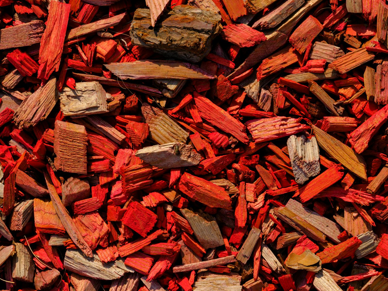 Mulched bed in late-morning sun — what the grind area looks like once chips are spread.