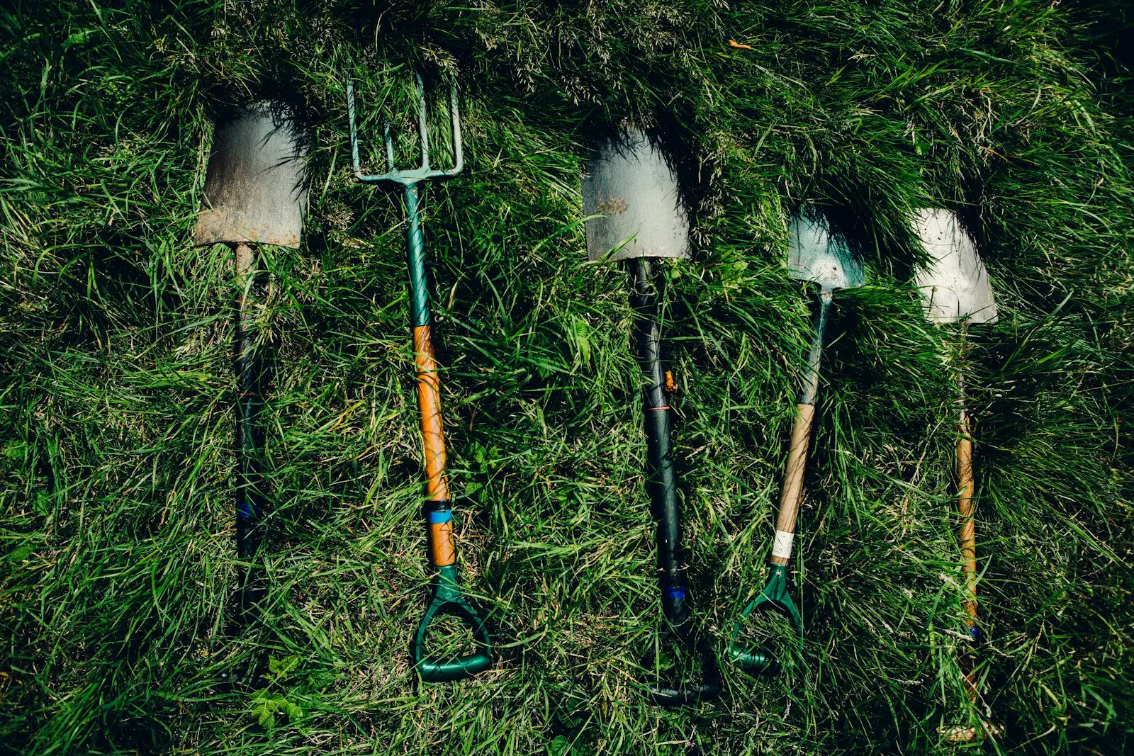 Shovels staged on a green Houston lawn before chip cleanup.