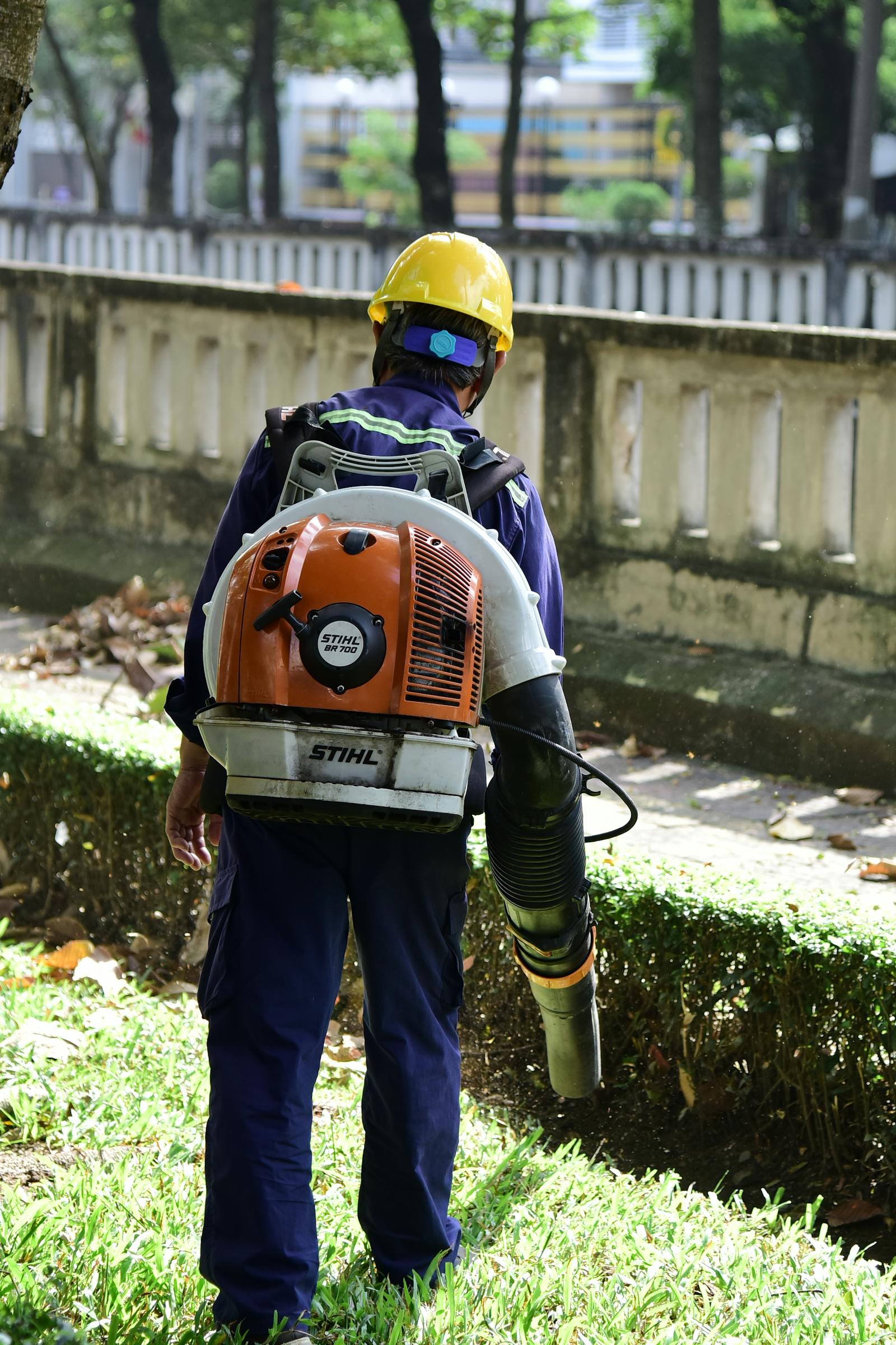 Backpack blower clearing chips from a walkway after a stump-grinding job.